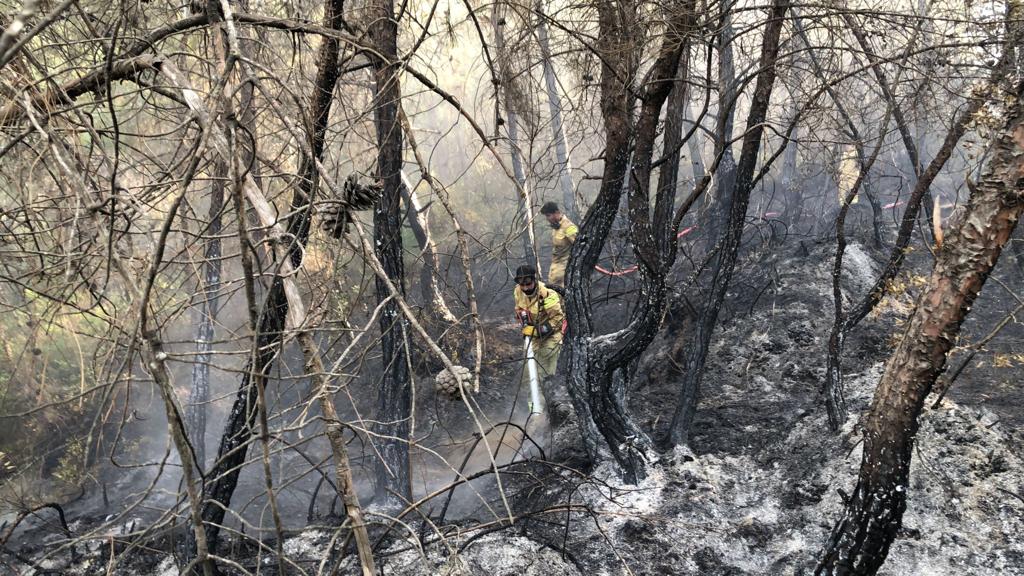 Adana'da ağaçlık alanda çıkan yangın kontrol altına alındı