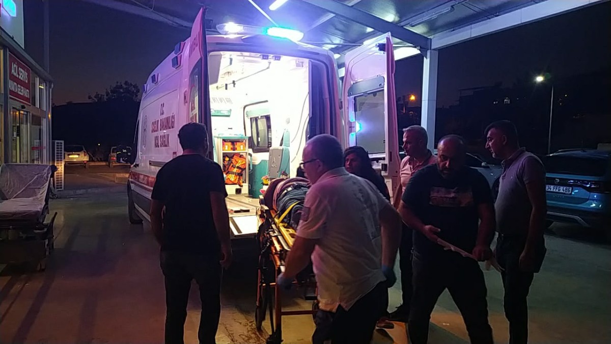 Adana'da otomobil ile hafif ticari aracın çarpıştığı kazada 4 kişi yaralandı