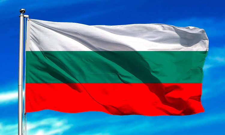 Bulgaristan'da 2021 Yılı Nüfus Sayımı