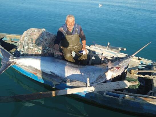 Adana'da balıkçılar, 274 kiloluk 'Blue Marlin' yakaladı