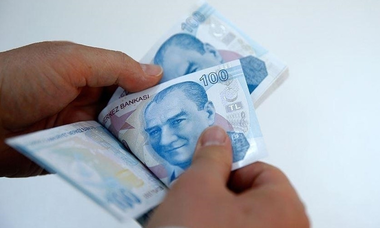Türkiye Aile Destek Programı ödemeleri başlıyor