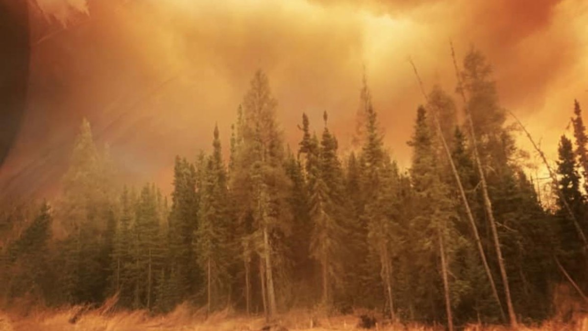 Kanada'da etkisini sürdüren orman yangınlarında 3 milyon hektarlık alan zarar gördü