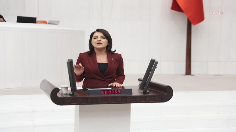 CHP'li Kış: 