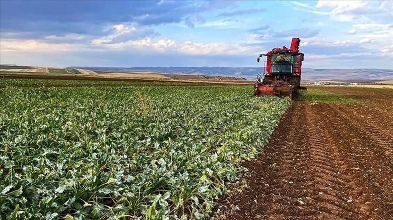 Çiftçilere Yılın İlk Çeyreğinde 35,6 Milyar Liralık Tarımsal Destek Ödemesi Yapıldı 