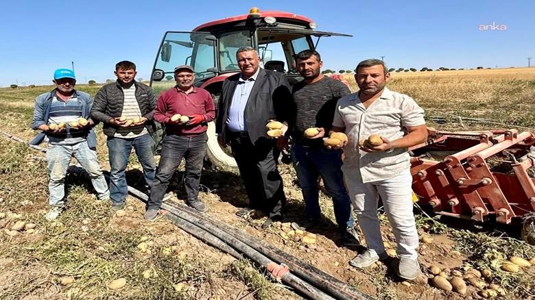 CHP'li Gürer: