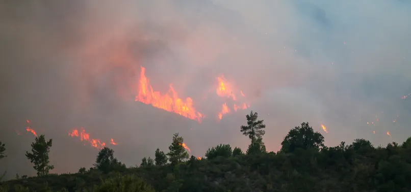 Antalya'da Orman Yangını