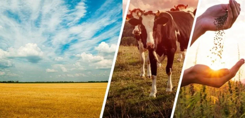 Hayvansal ve Bitkisel Üretim Destekleri Değişti