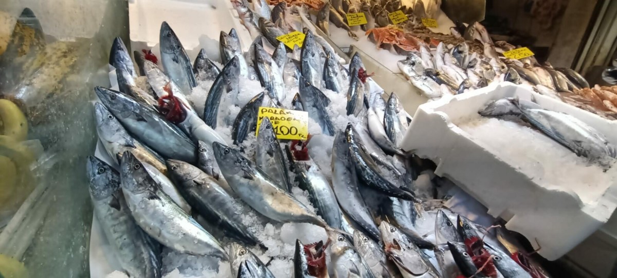 Balık Tezgahlarında Bolluk